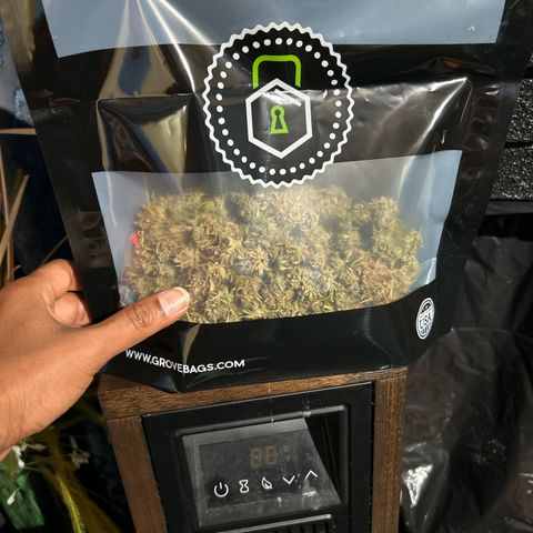 Samsquanch OG growlog timeline photo