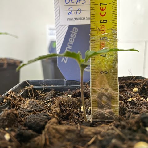 The Beast 2.0 growlog timeline photo