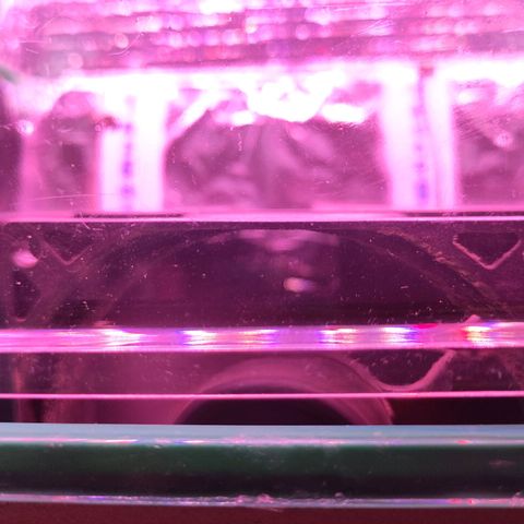 Yasemin growlog photo: Installation Umluftlüfter low-flow zur Stärkung des Stammes um 15:30 Uhr