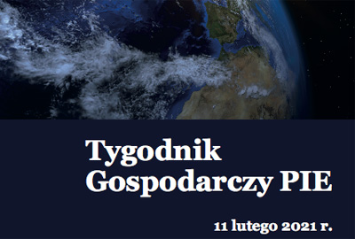 Zdjęcie do artykułu: Raport Polskiego Instytutu Ekonomicznego – komentarz Janusza Kowalskiego