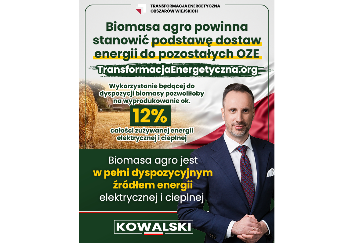 Zdjęcie do artykułu: Biomasa agro powinna stanowić podstawę dostaw energii do pozostałych OZE