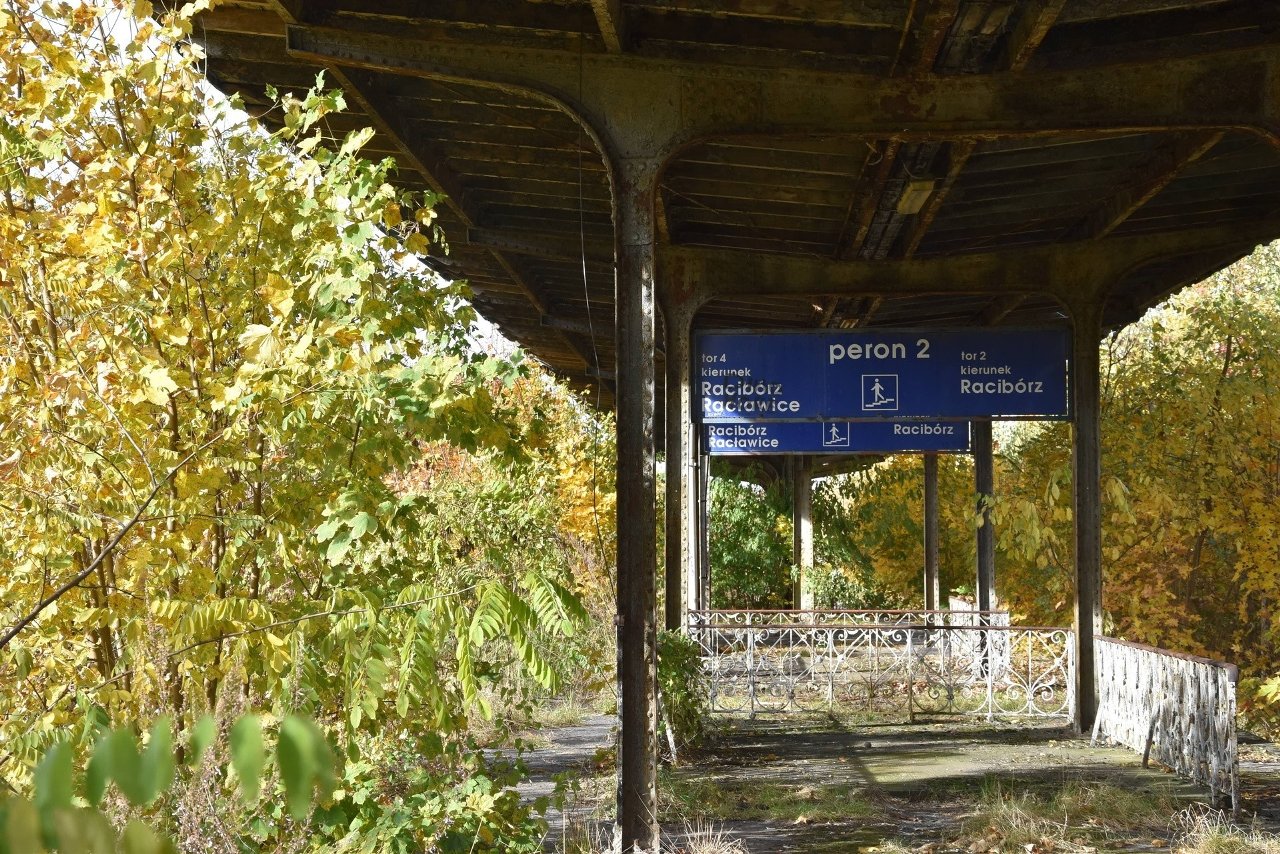 Odbudowa linii kolejowej Racibórz – Głubczyce – Racławice Śląskie. Urząd marszałkowski podpisał porozumienie w tej sprawie z PKP PLK
