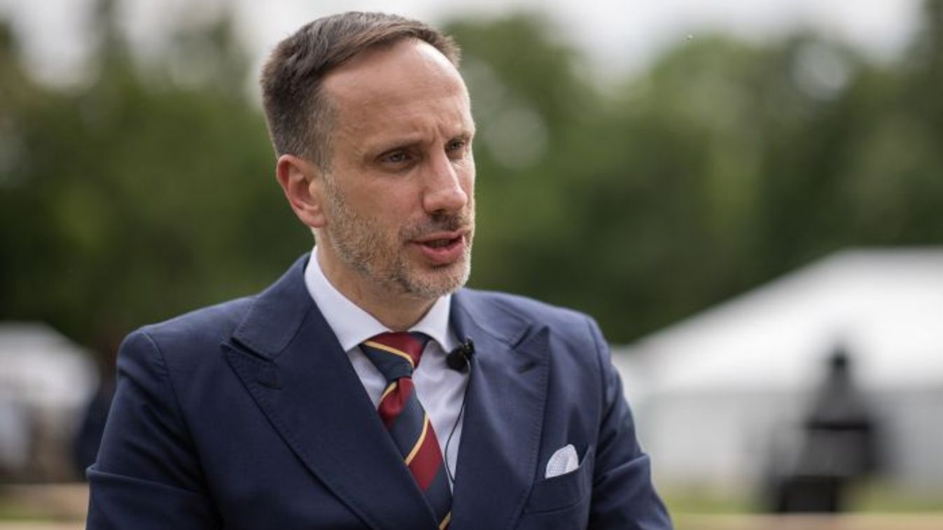 Zdjęcie do artykułu: Janusz Kowalski: EU Could Collapse Over Green Deal and Migration Policy