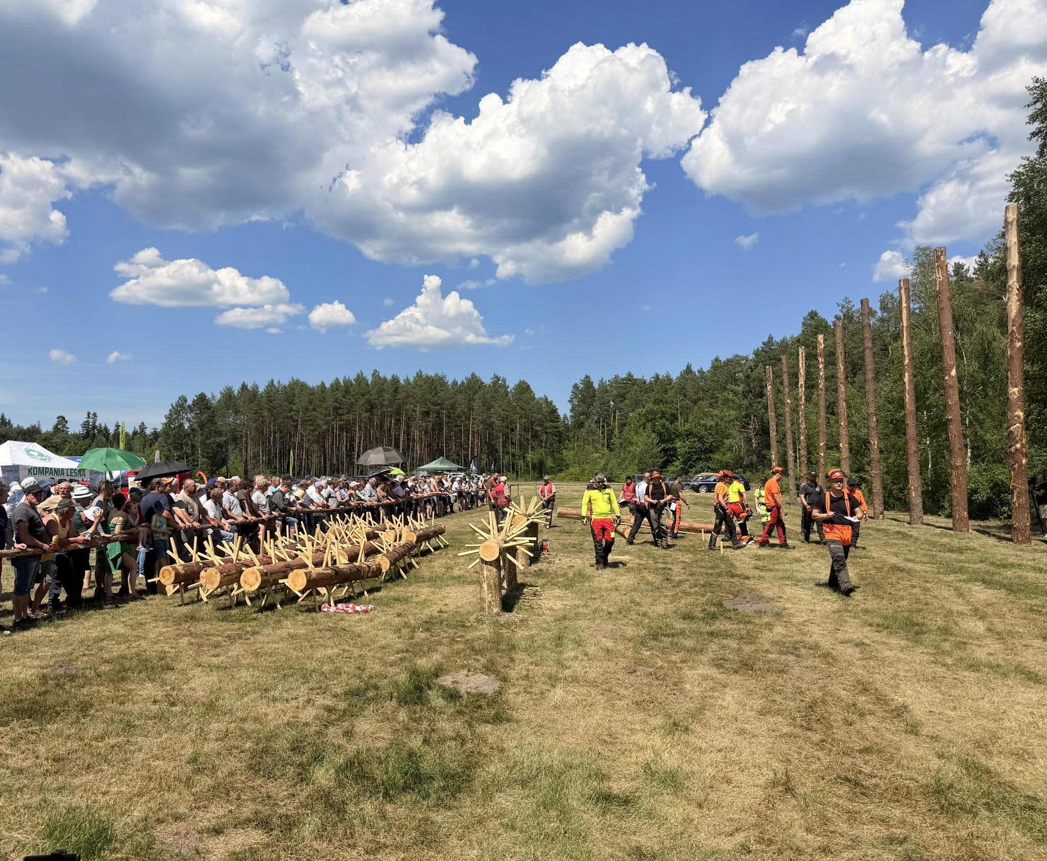 Lubelski Turniej Drwali w gminie Aleksandrów