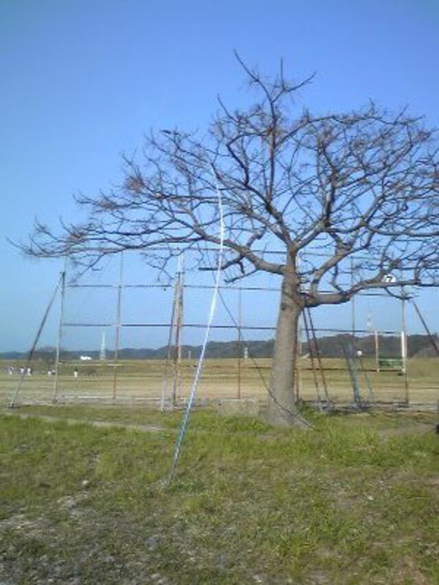 Article header image