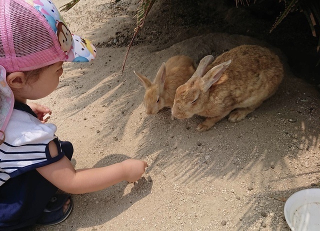 Article header image