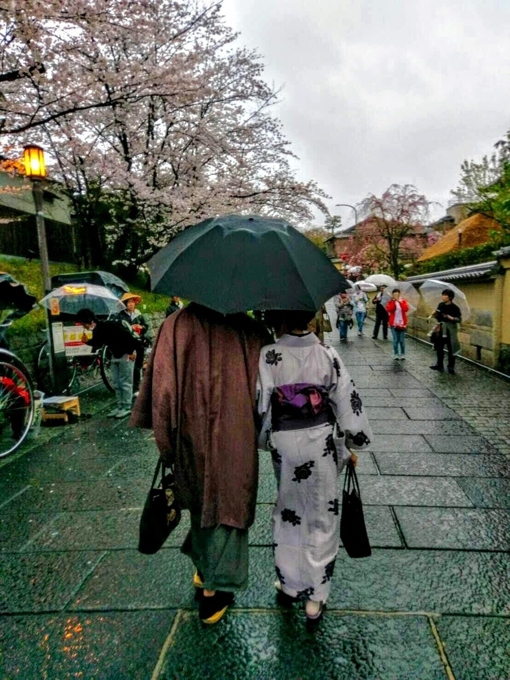 Article header image