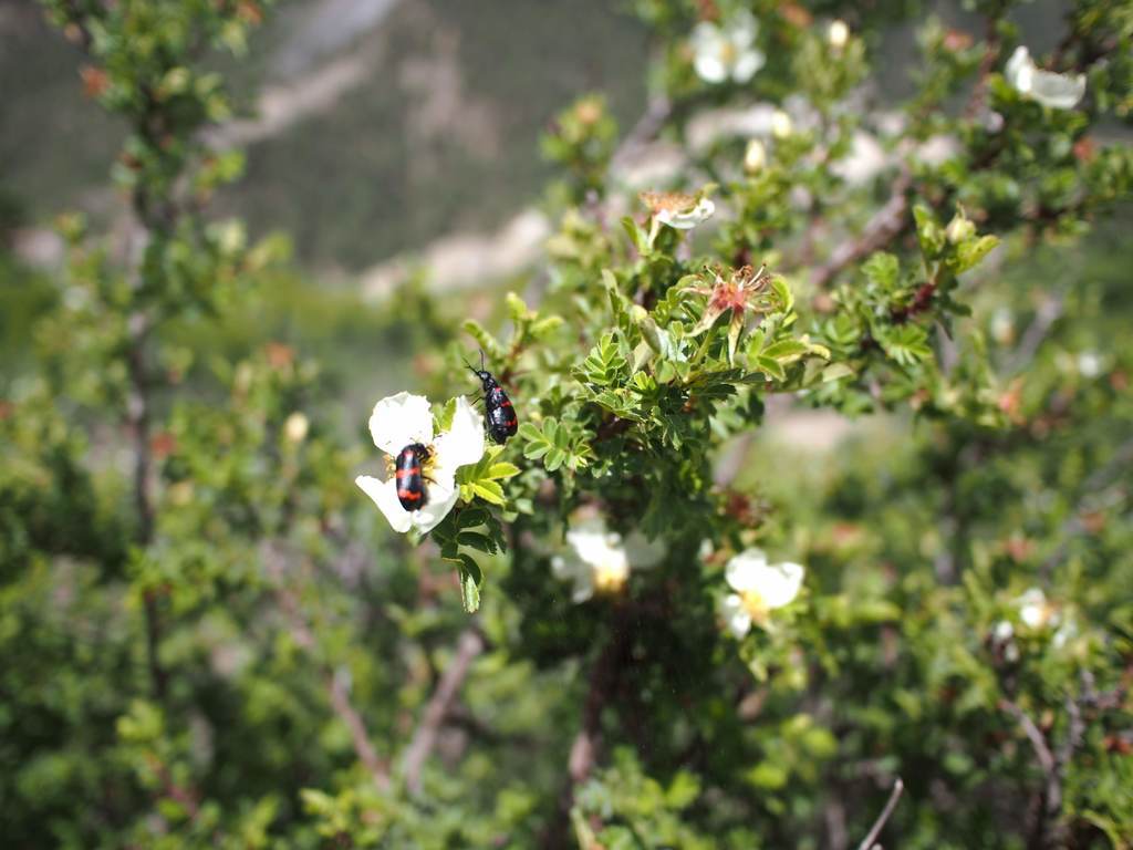 Article header image