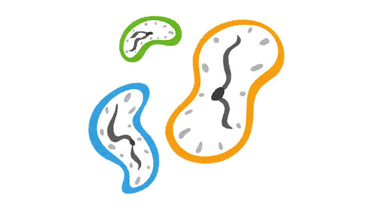 Article header image