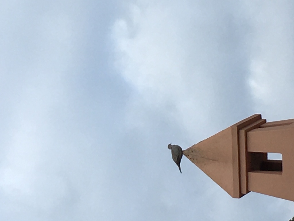 Article header image