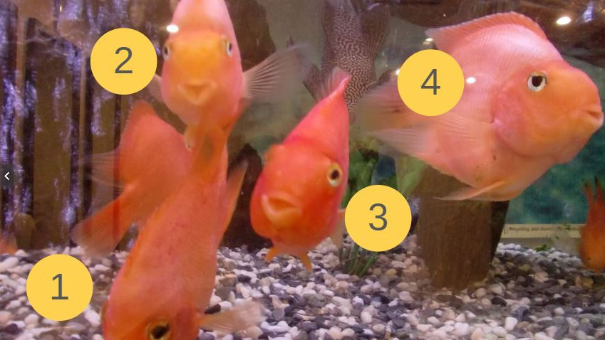 Image for the <ruby>物<rt>もの</rt></ruby>の<ruby>数<rt>かぞ</rt></ruby>え<ruby>方<rt>かた</rt></ruby>