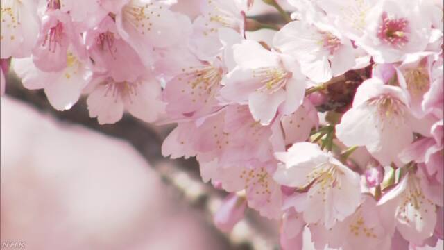 Article header image