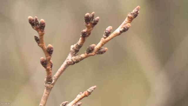 Article header image