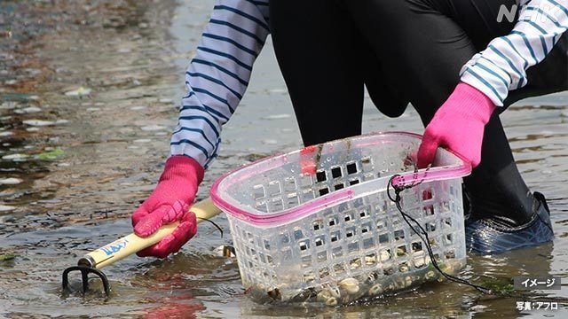 Article header image