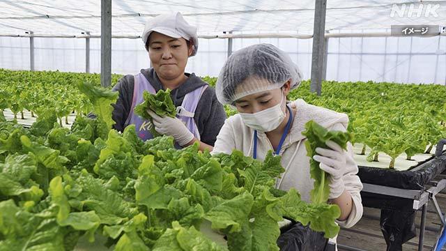 Article header image