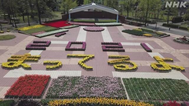 Article header image