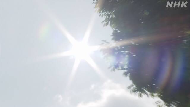 Article header image