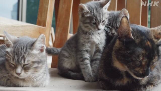 Article header image