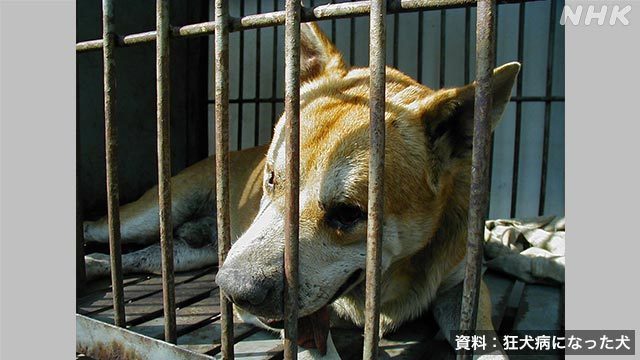 Article header image