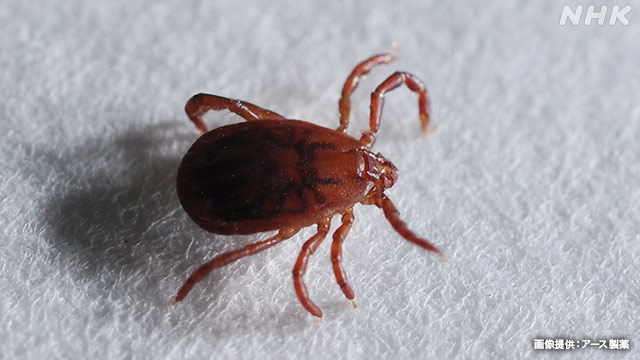 Article header image