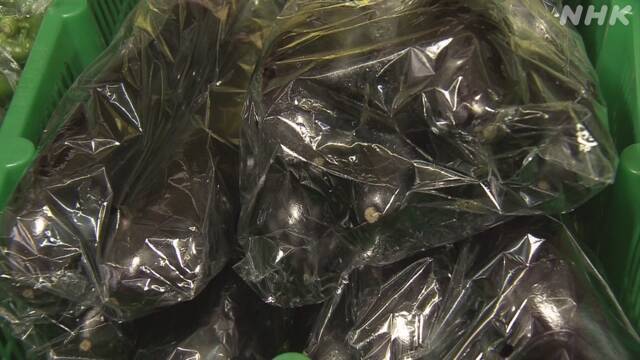 Article header image