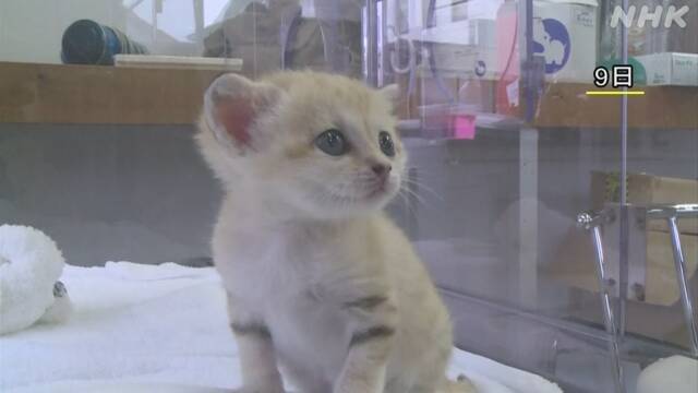 Article header image