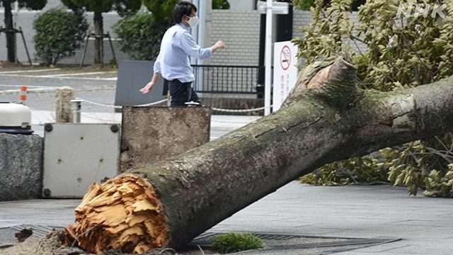 Article header image