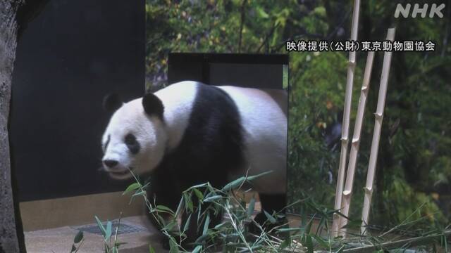 Article header image