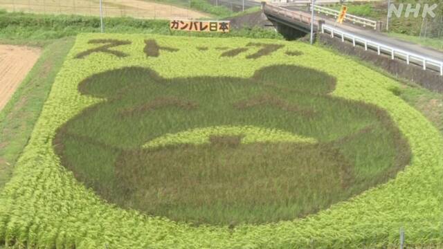 Article header image