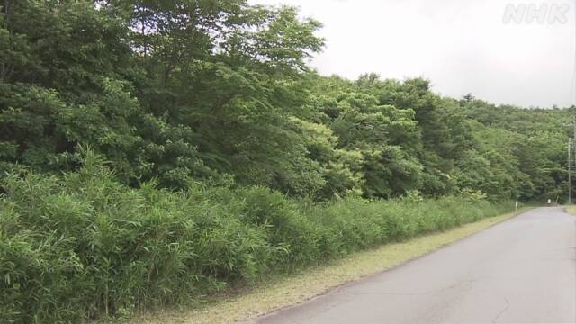 Article header image