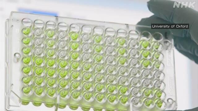 Article header image