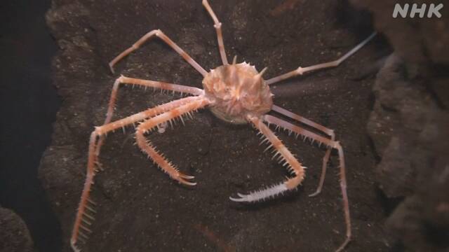 Article header image