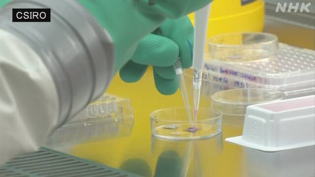 Article header image