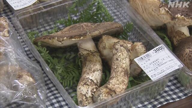 Article header image