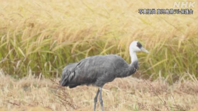 Article header image