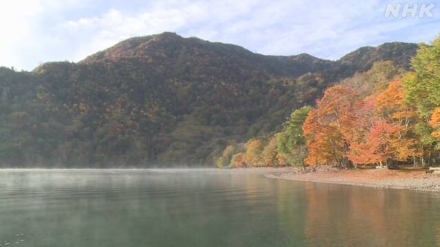 Article header image