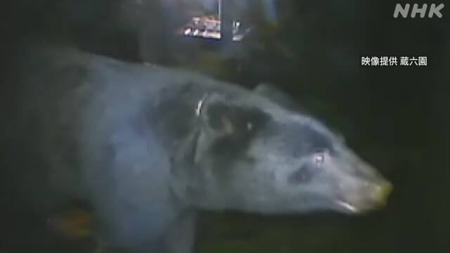 Article header image