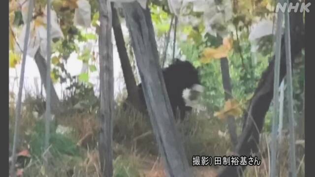 Article header image