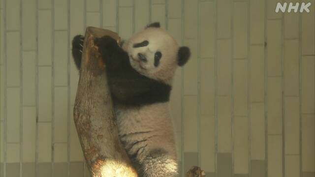 Article header image