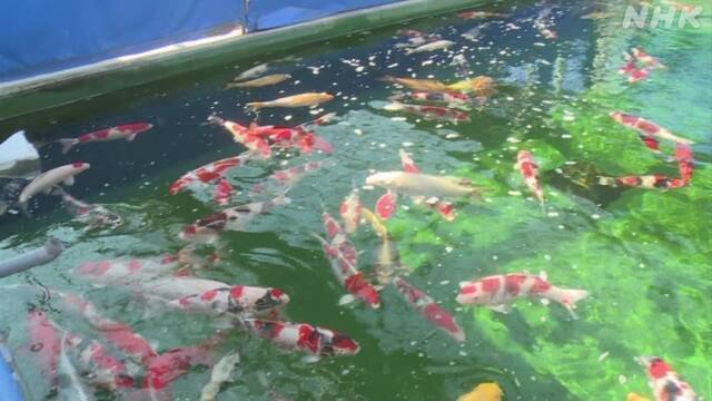 Article header image