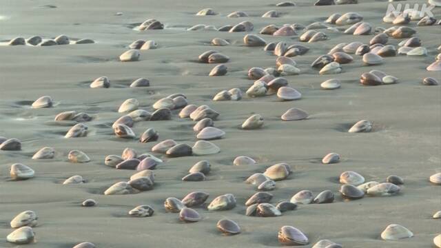 Article header image