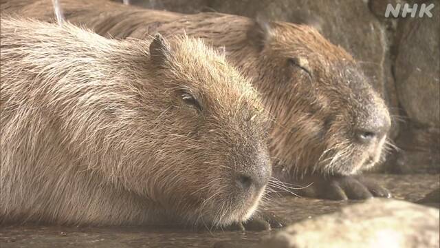 Article header image