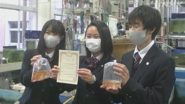 Article header image