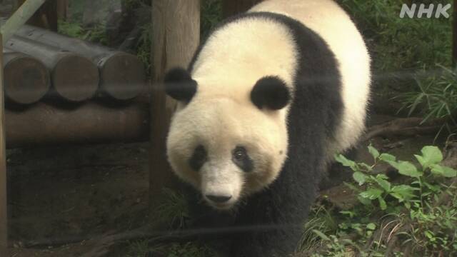 Article header image