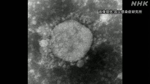 Article header image