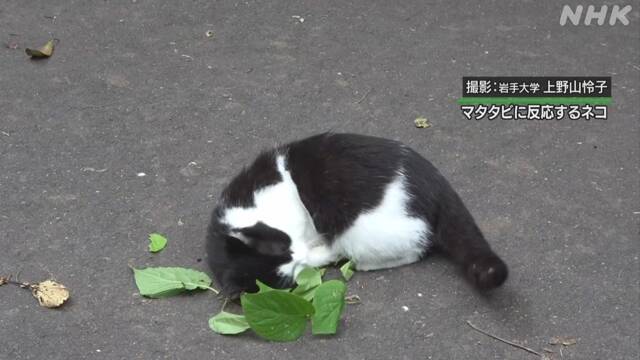 Article header image