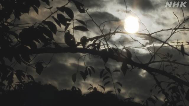 Article header image