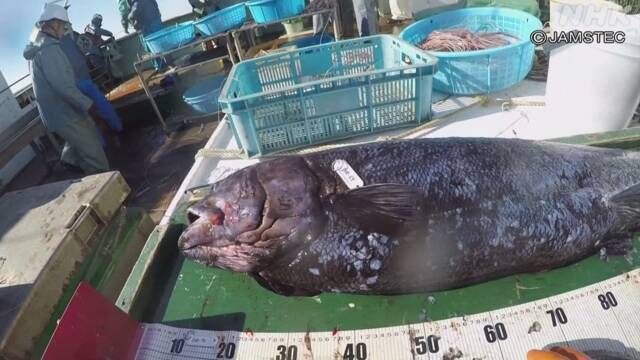 Article header image