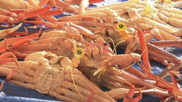 Article header image