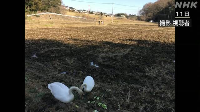 Article header image